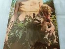 FLEETWOOD MAC, MR WONDERFUL LP, THE ORIGINAL from 1968, LOOKS GREAT, NICE VINYL