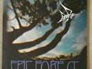 Rare Bird 'Epic Forest' [1972 / cat no. 2442 101]