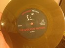 Gaslight Anthem ?–  Sink Or Swim Demos GOLD VINYL OOP loved ones lucero mixtapes