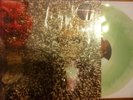 Ty Segall S/T LP color unplayed oh sees reatards white fence nobunny hozac kbd