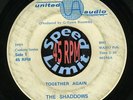 HEAR NORTHERN Shaddows – Together again OHIO