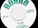 Northern Soul JIMMY JAMES & The VAGABONDS Hey Girl on Delta DEMO