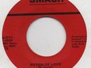 THE AMBERS-POTION OF LOVE-SMASH.