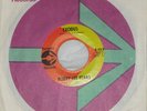 Bobby Lee Fears Rare Soul/Funk Exodus/Moon River Mint - 45 rpm