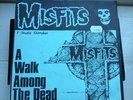 Misfits 7 Inch A Walk Among The Dead Red Vinyl
