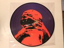 Black Sabbath Born Again Rare Picture Disc