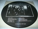 Bruce Springsteen This Hard Land Rare Vinyl Picture Disc LP Not TMOQ Ltd #'d