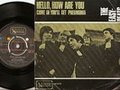 THE EASYBEATS HELLO, HOW ARE YOU NORWAY 45+PS 1968 MOD PSYCH FREAKBEAT GARAGE