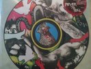 Yeah Yeah Yeahs Fever to Tell Rare OOP 1st Press M+ LP Pic Disc Art Garage Wave