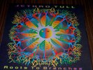 JETHRO TULL ROOTS TO BRANCHES 2 LP Chrysalis 7243 8 35418 1 2
