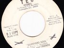 FUNK 45 RPM - ROSCOE AND FRIENDS on TEC RECORDS (PROMO)