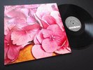 STILL LIFE  - SAME / ORIG D VERTIGO SWIRL 6360 026 LP PROMO 1ST PRESS HEAVY PROG
