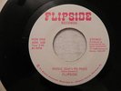 Flipside Havin A Party Music Get's Me High rare private modern soul funk 45 NM+