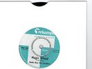 JOE MEEK/RGM 45  RODD-KEN THE CAVALIERS  MAGIC WHEEL  TRIUMPH  45