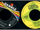 RARE NORTHERN SOUL - DEE DEE SHARP: WHAT KIND OF LADY ITALIAN PROMO PRESS - JB 1