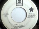 FUNK 45-BOBBY RUSH-GOTTA HAVE MONEY /CAMEL WALK