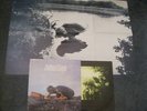 JULIAN COPE - FRIED LP + POSTER - Nr MINT A1 UK INDIE TEARDROP EXPLODES