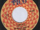  Latin Soul Funk 45 The Modern Sound of Al Escobar - Tighten up HEAR