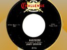 JIMMY GORDON BUZZZZZZ 1966 CHALLENGE WEST COAST FUZZ GUITAR 45 MAD MIKE MOLDIE ?