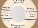 RARE PROMO DOO WOP 45 - THE PALS on TURF - SUMMER IS HERE