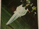 WALTER FRANCO REVOLVER BRAILLE DIE-CUT COVER ORIGINAL  LP BRAZIL PSYCH TOM ZE