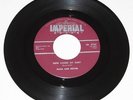 DANA & DEXTER: Static / Here Comes My Baby NEAR MINT Original 45