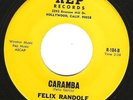 Tittyshaker Exotica 45 FELIX RANDOLF 