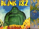 BLINK 182 Buddha LP clear wax w/ blue/yellow splash NM KUNG FU RECORDS shrink