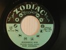 RUBY ANDREWS (northern) 45 WONDERFUL NITE / YOU CAN RUN   ZODIAC VG / VG-