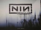 Nine Inch Nails With Teeth RARE Out of Print 2 X LP (Original US Pressing)