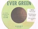 Teen Rock 45-Larry Hall-Sandy-Ever Green 1001-First Label-NICE-RARE