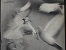 DONALD BYRD FREE FORM BLUE NOTE 4118 ORIGINAL MONO RVG NEW YORK USA LP