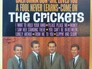 THE CRICKETS (Buddy Holly) Liberty LP signed by Crickets, Buzz Cason, T. Allsup