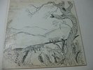 RARE LEE FARMER : TO A WESTERN SKY PRIVATE FOLK PSYCH PROG HEAR
