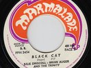 Brian Auger - Black Cat - Killer Mod Hammond Organ Freakbeat Dancer - 45 7