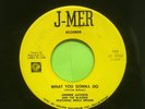 Johnnie Jackson and the Blazers - What You Gonna Do - Northern Soul Funk blues