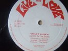 Carlton and the Shoes - WHAT A DAY - Live and Love - Big JAH SHAKA tune