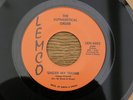 ALPHABETICAL ORDER UNDER MY THUMB Rolling Stones orig US GARAGE BEAT PSYCH 7
