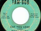 RICKY ALLEN Cut You Lose NORTHERN SOUL 45 on TAM-BOO 6720