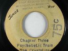 Reggae 45 CRYSTALITES Psychedelic Train / Lady Madonna on JA blank