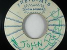 Reggae 45 JOHN HOLT Never Hurt My Baby on Inbidimts blank VG++