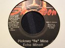 Echo Minott Pickney fe Mine killer Digi 7