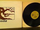 Windfall Self Titled LP RARE PRIVATE 1977 WI Folk Shrink VG+ HEAR