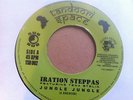 IRATION STEPPAS / TENA STELIN - JUNGLE - TANDOORI SPACE 7