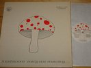 MUSHROOM   EARLY ONE MORNING   RARE IRISH HAWK VINYL LP 1973   PSYCH PROG FOLK