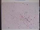 Hans Joachim Roedelius Flieg Vogel Fliege LP rare CLUSTER Kluster