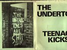 THE UNDERTONES - TEENAGE KICKS - ORIGINAL RARE GREEN SLEEVE 1978 VINYL 7