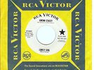 NORTHERN SOUL 45-GWENN STACEY-LONELY GIRL-RCA-DJ -LISTEN
