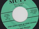 STOP (DON'T GIVE UP YOUR LOVING) - THE TWO FELLOWS (FRED & SKEETS) - EXCELLENT