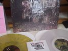La Dispute - Wildlife - 2xlp Yellow Clear press vinyl  punk saetia bear vs shark